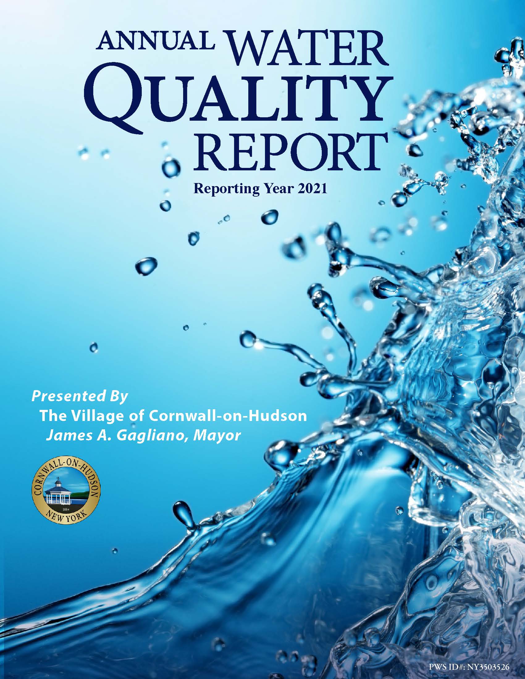 Cover for the Annual Water Report 2021